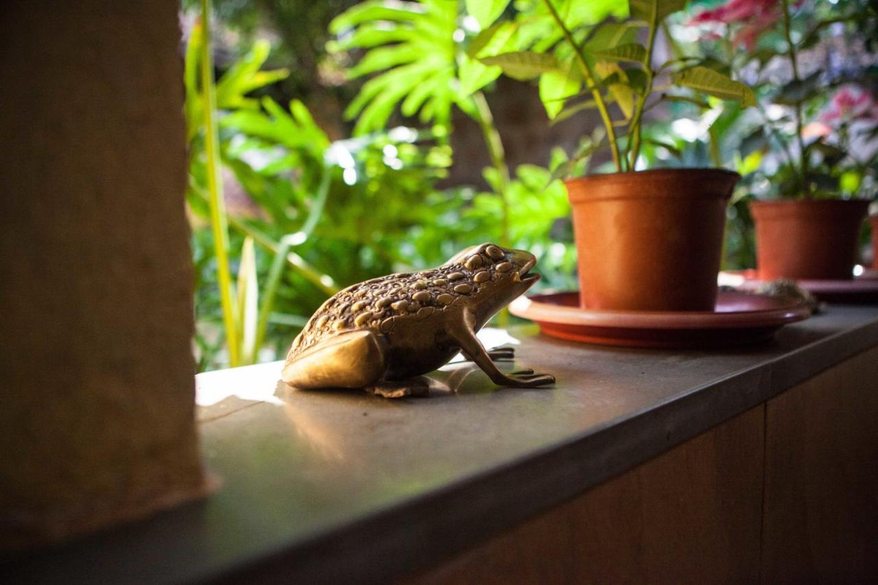 Serendipity House Goa Nerul  الغرفة الصورة